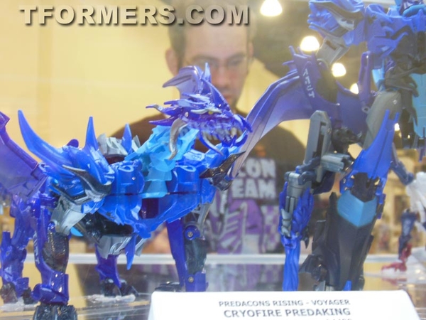 Botcon 2013   Transformers Prime Beast Hunters Day 3 Image Gallery  (22 of 93)